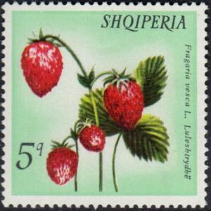 Colnect-2189-336-Wild-Strawberries.jpg