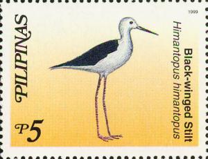 Colnect-2859-104-Black-winged-Stilt-nbsp-Himantopus-himantopus.jpg