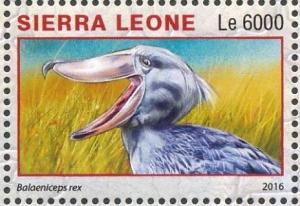 Colnect-3566-122-Shoebill---Balaeniceps-rex.jpg