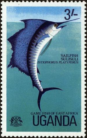 Colnect-4266-458-Indo-pacific-Sailfish-Istiophorus-platypterus.jpg