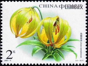 Colnect-5176-443-Lilium-lophophorum.jpg