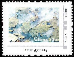 Colnect-5576-862-Feuilles-sous-la-glace.jpg