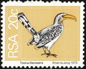 Colnect-675-286-Southern-Yellow-billed-Hornbill-Tockus-leucomelas.jpg