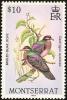 Colnect-1785-074-Bridled-Quail-dove-Geotrygon-mystacea.jpg