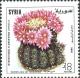 Colnect-2222-542-Mammilaria-erythosperma.jpg