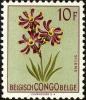 Colnect-3941-158-Silene-burchellii.jpg