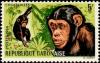 Colnect-2523-704-Common-Chimpanzee-Pan-troglodytes.jpg