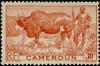 Colnect-582-300-Zebu-Bos-primigenius-indicus-Herdsman.jpg