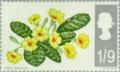 Colnect-121-701-Primroses-phosphor.jpg