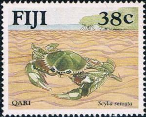 Colnect-3259-739-Serrated-Swimming-Crab-Scylla-serrata.jpg