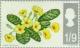 Colnect-121-701-Primroses-phosphor.jpg