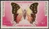 Colnect-1232-126-Madagascar-Green-veined-Charaxes-Charaxes-antamboulou.jpg