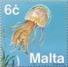 Colnect-131-343-Mauve-Stinger-Pelagia-noctiluca.jpg