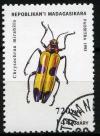 Colnect-1407-829-Metallic-Wood-boring-Beetle-Chrysochroa-mirabilis.jpg