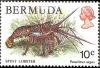 Colnect-1491-903-Caribbean-Spiny-Lobster-Panulirus-argus.jpg