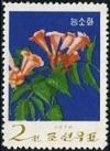 Colnect-1601-980-Chinese-trumpet-vine.jpg