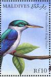 Colnect-1631-359-Collared-Kingfisher-Halcyon-chloris.jpg