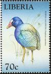 Colnect-1641-847-Purple-Gallinule-Porphyrula-martinica.jpg