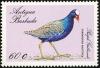 Colnect-1764-028-Purple-Gallinule-Porphyrula-martinica.jpg