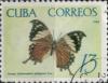 Colnect-2164-626-Cuban-Jazzy-Leafwing-Anaea-clytemnestra-iphigenia.jpg