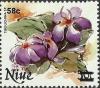 Colnect-3732-959-Tibouchina-sp---Princess-lover.jpg