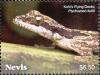 Colnect-5164-916-Kuhl-s-Flying-Gecko-Ptychozoon-khuli.jpg