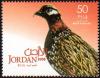 Colnect-5334-705-Black-Francolin%C2%A0Francolinus-francolinus-.jpg