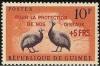 Colnect-540-738-Helmeted-Guineafowl-Numida-meleagris.jpg