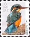 Colnect-5764-081-Common-Kingfisher-Alcedo-atthis.jpg