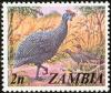 Colnect-864-810-Helmeted-Guineafowl-Numida-meleagris.jpg