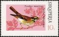 Colnect-1156-574-Redwing%C2%A0Turdus-iliacus.jpg