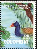 Colnect-2806-654-Purple-Gallinule-Porphyrula-martinica.jpg