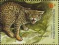 Colnect-3348-254-Mountain-Cat-Felis-geoffroyi.jpg