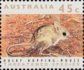 Colnect-3950-185-Dusky-Hopping-mouse-Notomys-fuscus-.jpg