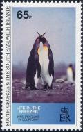 Colnect-5169-520-King-Penguin-Aptenodytes-patagonica.jpg