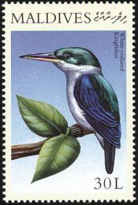 Colnect-1631-357-Collared-Kingfisher-Halcyon-chloris.jpg