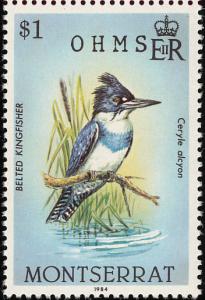 Colnect-1785-081-Belted-Kingfisher-Ceryle-alcyon.jpg