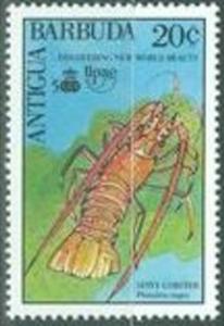 Colnect-1953-821-Caribbean-Spiny-Lobster-Panulirus-argus.jpg