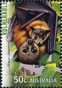 Colnect-472-404-Grey-headed-Flying-Fox-Pteropus-poliocephalus.jpg