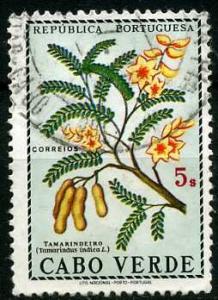 Colnect-1318-900-Tamarind-Tamarindus-indica.jpg