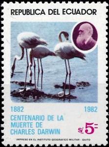 Colnect-5215-016-Ch-Darwin-1809-1882-Flamingos.jpg