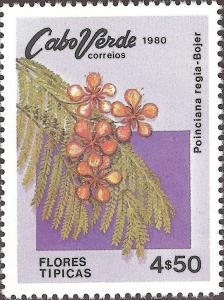 Colnect-1124-921-Royal-Poinciana-Poinciana-regia.jpg