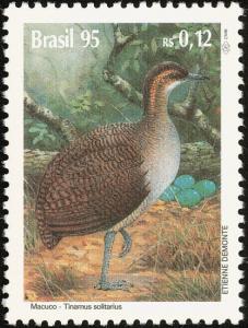 Colnect-2423-212-Solitary-Tinamou-Tinamus-solitarius-.jpg