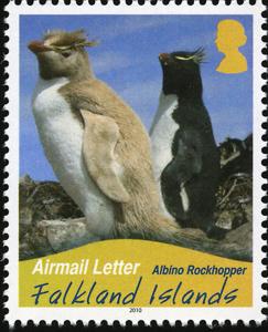 Colnect-2189-321-Rockhopper-Penguin-Eudyptes-chrysocome---Albino.jpg