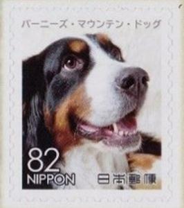 Colnect-4415-132-Bernese-Mountain-Dog-Canis-lupus-familiaris.jpg