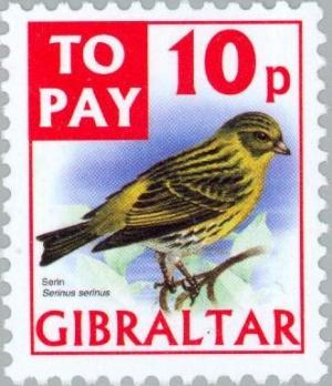 Colnect-121-170-Serin-Serinus-serinus.jpg