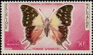 Colnect-1232-126-Madagascar-Green-veined-Charaxes-Charaxes-antamboulou.jpg