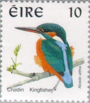 Colnect-129-421-Common-Kingfisher-Alcedo-atthis.jpg