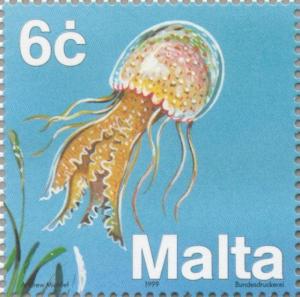 Colnect-131-343-Mauve-Stinger-Pelagia-noctiluca.jpg