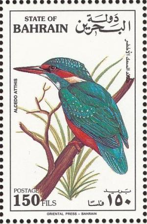 Colnect-1463-915-Common-Kingfisher-Alcedo-atthis.jpg